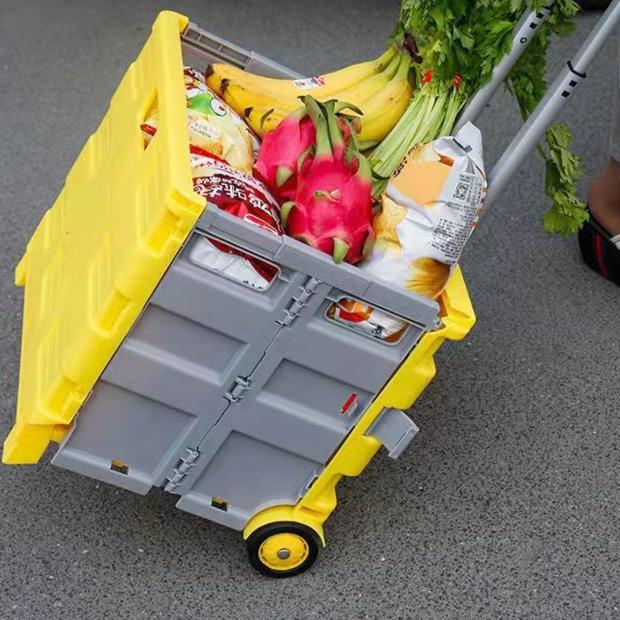 Multi-Purpose Foldable Plastic Cart with Lid and Adjustable Handle