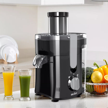 300W High-Speed Electric Juicer for Fruits & Vegetables