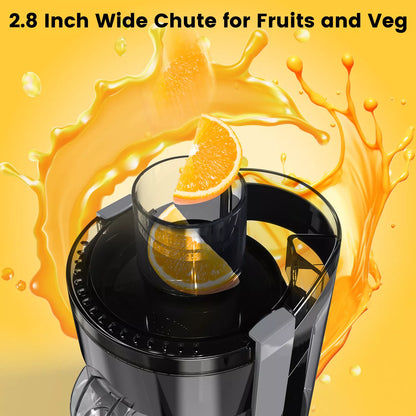 300W High-Speed Electric Juicer for Fruits & Vegetables